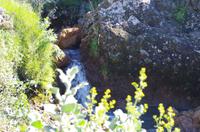 Schottland Island 2017