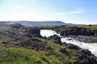 Schottland Island 2017