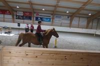 Schottland Island 2017