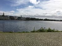 Schottland Island 2017