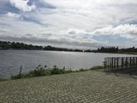 Schottland Island 2017