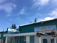 Schottland Island 2017