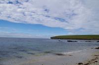 Schottland Island 2017