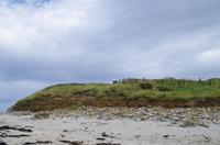 Schottland Island 2017