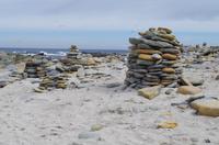 Schottland Island 2017