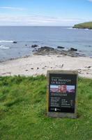 Schottland Island 2017