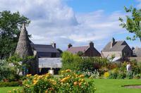 Schottland Island 2017