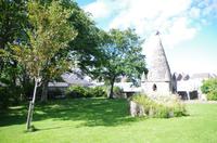 Schottland Island 2017