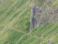 Giant´s Causeway - Orgel