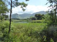 Connemara
