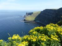Cliffs of Moher