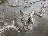 zwei Maenner beim Lachsfischen