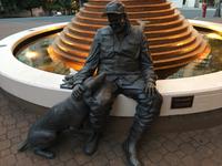 gehen wir gleich nochmals fischen, biiteee ?