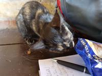 Bulgarien, Rozenkloster