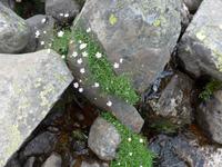 Bulgarien, Wanderung im Maljovitza Tal