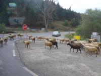 Bulgarien, Bansko,