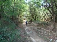 Bulgarien, Wanderung vom Rozenkloster nach Melnik