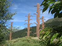 IMG_8888 Jackenzerreißer