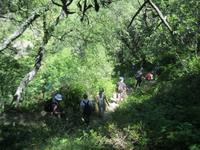 IMG_8904  Abstieg Rialb