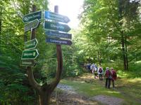 Wanderung auf dem Holzweg rund um Eisenach