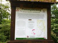 Pummpälzweg bei Eisenach