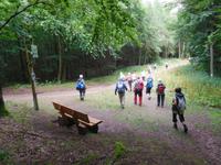 Wanderung mit dem Revierförster auf dem Holzweg rund um Eisenach 