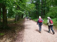 Wanderung mit dem Revierförster auf dem Holzweg rund um Eisenach 