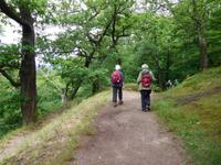 Wanderung mit dem Revierförster auf dem Holzweg rund um Eisenach 