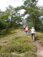 Wartburg-Blick bei der Wanderung auf dem Holzweg