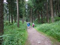 Wanderung zum Veilchenbrunnen im Thüringer Wald bei Oberhof