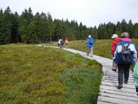 Wanderung zum Veilchenbrunnen im Thüringer Wald - am Schützenberghochmoor