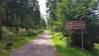 Weg zum Rennsteiggarten in Oberhof