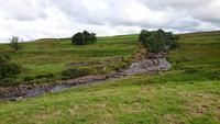 In Shap