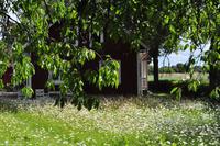 Radreise Schweden - Eberhardt-Travel - Reiseleiter Martin Büchner-0646