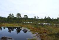 Lahemaa-Nationalpark