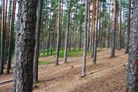 Lahemaa-Nationalpark