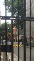 Blick auf 10 Downing Street