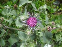 unterwegs nach Ushguli