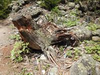 Wanderung zum Chaaladi Gletscher