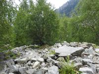 Wanderung zum Chaaladi Gletscher
