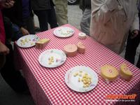 Käse-Verkostung am Grimsel