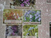 Hohe Tatra: Štrbské Pleso