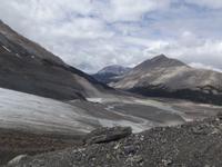Athabasca Gletscher