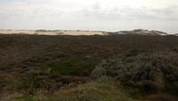 Sylt