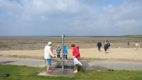 Nordstrand, Wattwanderung mit Frau Erichsen