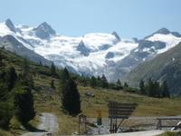 Blick auf den Roseggletscher