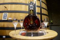 Besuch bei Rémy Martin (11)