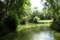 Kahnfahrt im Marais de Poitevin (5)