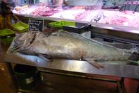 Markthalle von St. Martin (2)