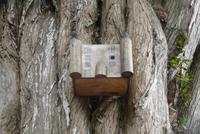 Noirmoutier-en-l'île  (2)